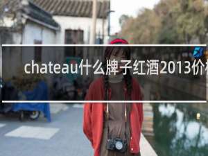 chateau什么牌子红酒2013价格