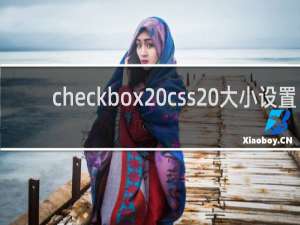 checkbox css 大小设置