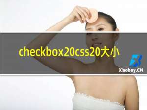 checkbox css 大小