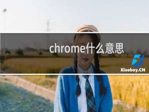 chrome什么意思