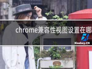 chrome兼容性视图设置在哪