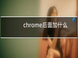 chrome后面加什么
