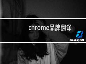 chrome品牌翻译