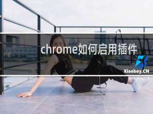 chrome如何启用插件