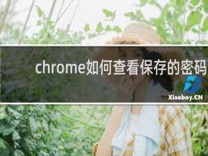 chrome如何查看保存的密码
