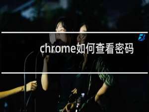 chrome如何查看密码