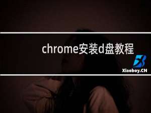 chrome安装d盘教程