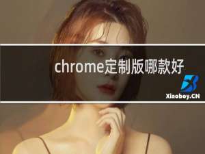 chrome定制版哪款好