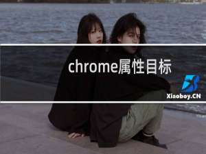 chrome属性目标
