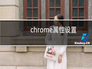 chrome属性设置