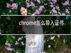 chrome怎么导入证书