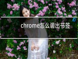 chrome怎么调出书签