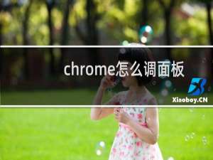 chrome怎么调面板