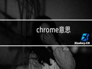 chrome意思