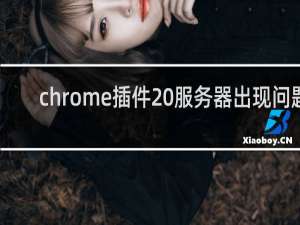 chrome插件 服务器出现问题