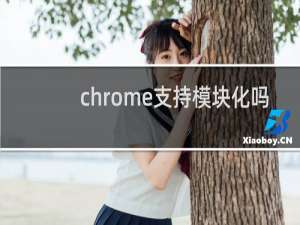 chrome支持模块化吗