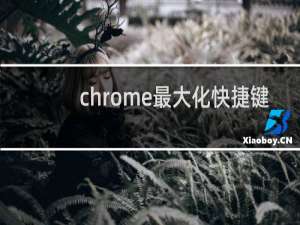 chrome最大化快捷键