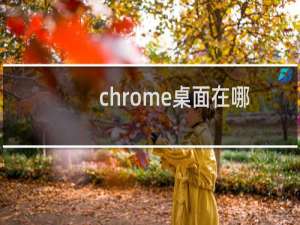 chrome桌面在哪