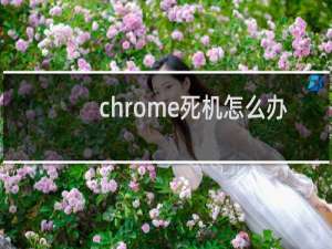 chrome死机怎么办