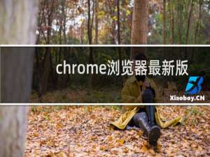 chrome浏览器最新版