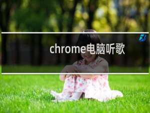 chrome电脑听歌