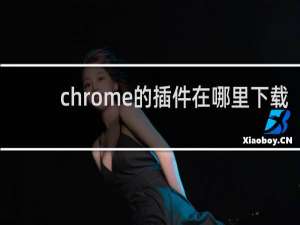 chrome的插件在哪里下载