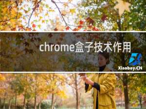 chrome盒子技术作用
