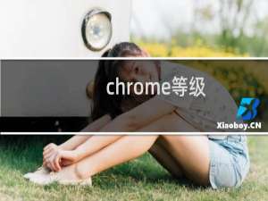 chrome等级