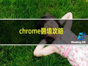 chrome翻墙攻略