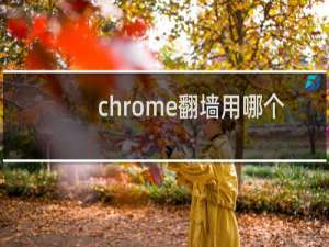 chrome翻墙用哪个