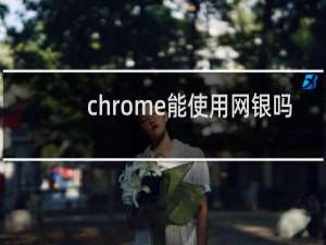 chrome能使用网银吗