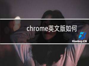 chrome英文版如何