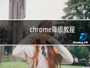 chrome降级教程