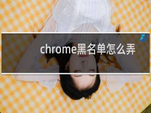 chrome黑名单怎么弄