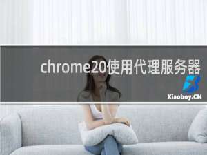 chrome 使用代理服务器