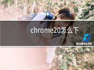 chrome 怎么下