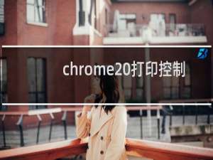 chrome 打印控制