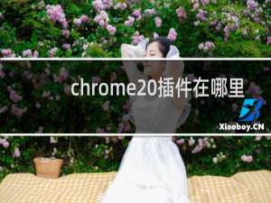 chrome 插件在哪里