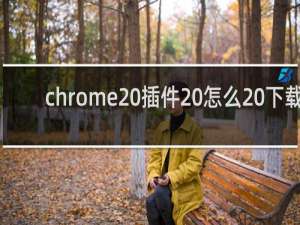 chrome 插件 怎么 下载