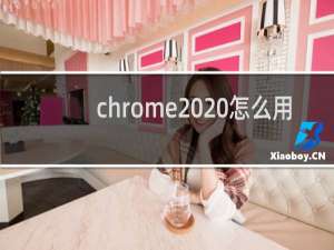 chrome  怎么用