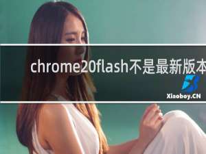 chrome flash不是最新版本