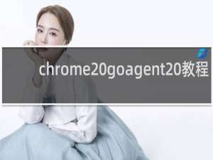 chrome goagent 教程