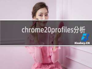 chrome profiles分析
