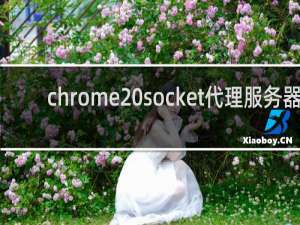 chrome socket代理服务器