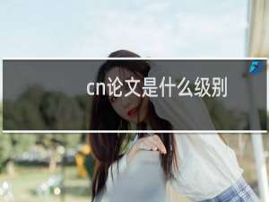 cn论文是什么级别