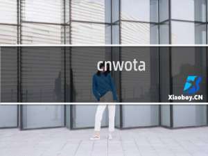 cnwota.com域名无法打开