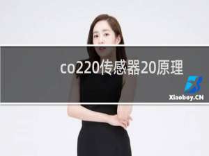 co2 传感器 原理