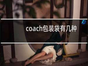 coach包装袋有几种