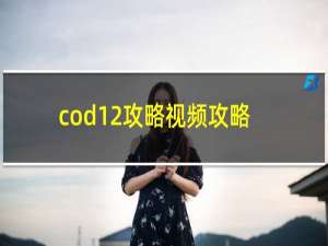 cod12攻略视频攻略