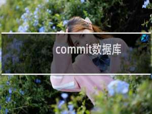 commit数据库